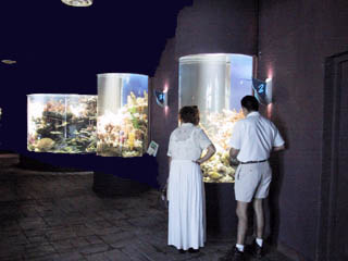 interactive_aquarium