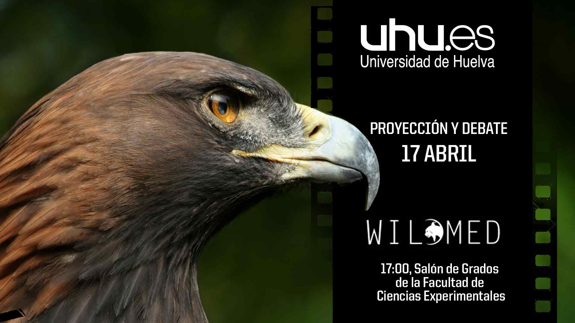 Wildmed