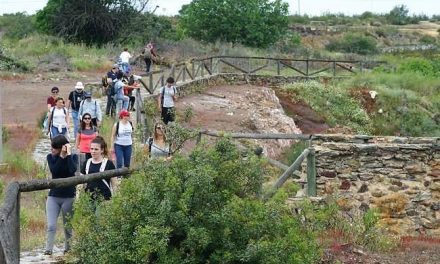 Ruta de Senderismo por Tharsis de la mano del Aula de Sostenibilidad de la Universidad