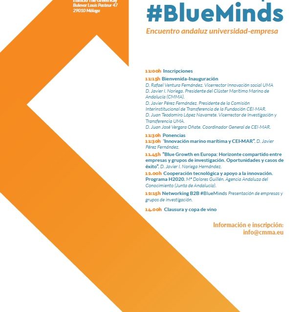 Cinco grupos investigación de la UHU participan en el Workshop #BlueMinds