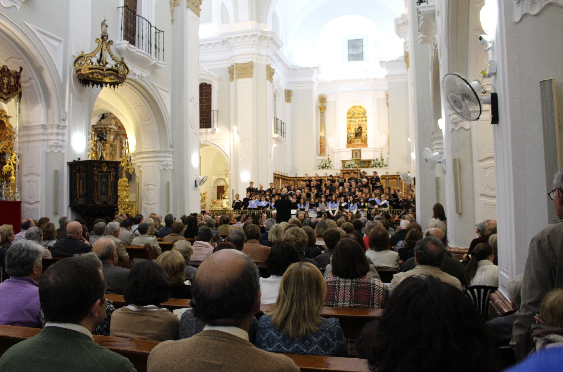 catedral uno