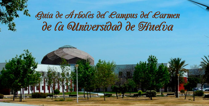 guía de arboles de la universidad de Huelva