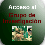 Proyecto Investigación