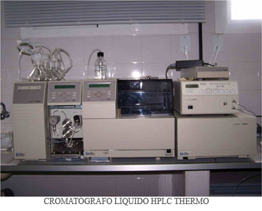 Cromatografo de gases