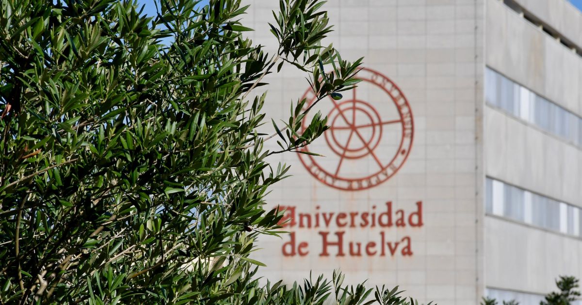 La Universidad de Huelva impulsa la innovación en la olivicultura con el proyecto OlivarIA