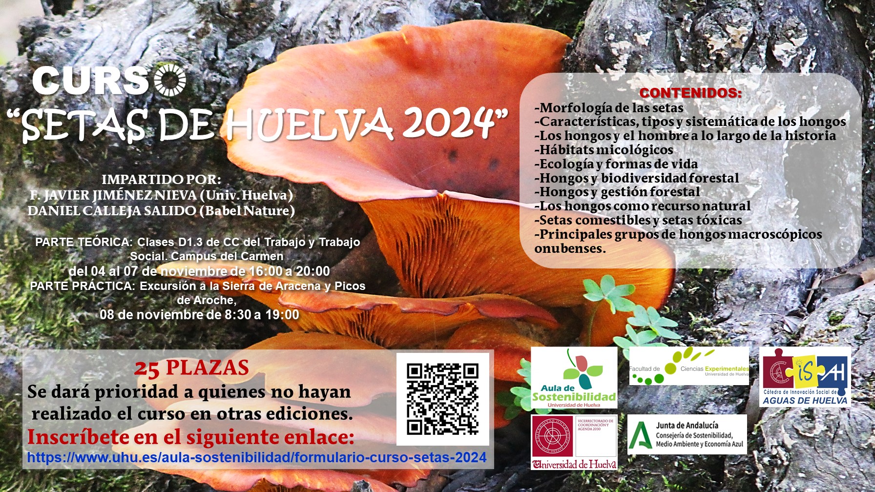 CURSO SETAS 2024