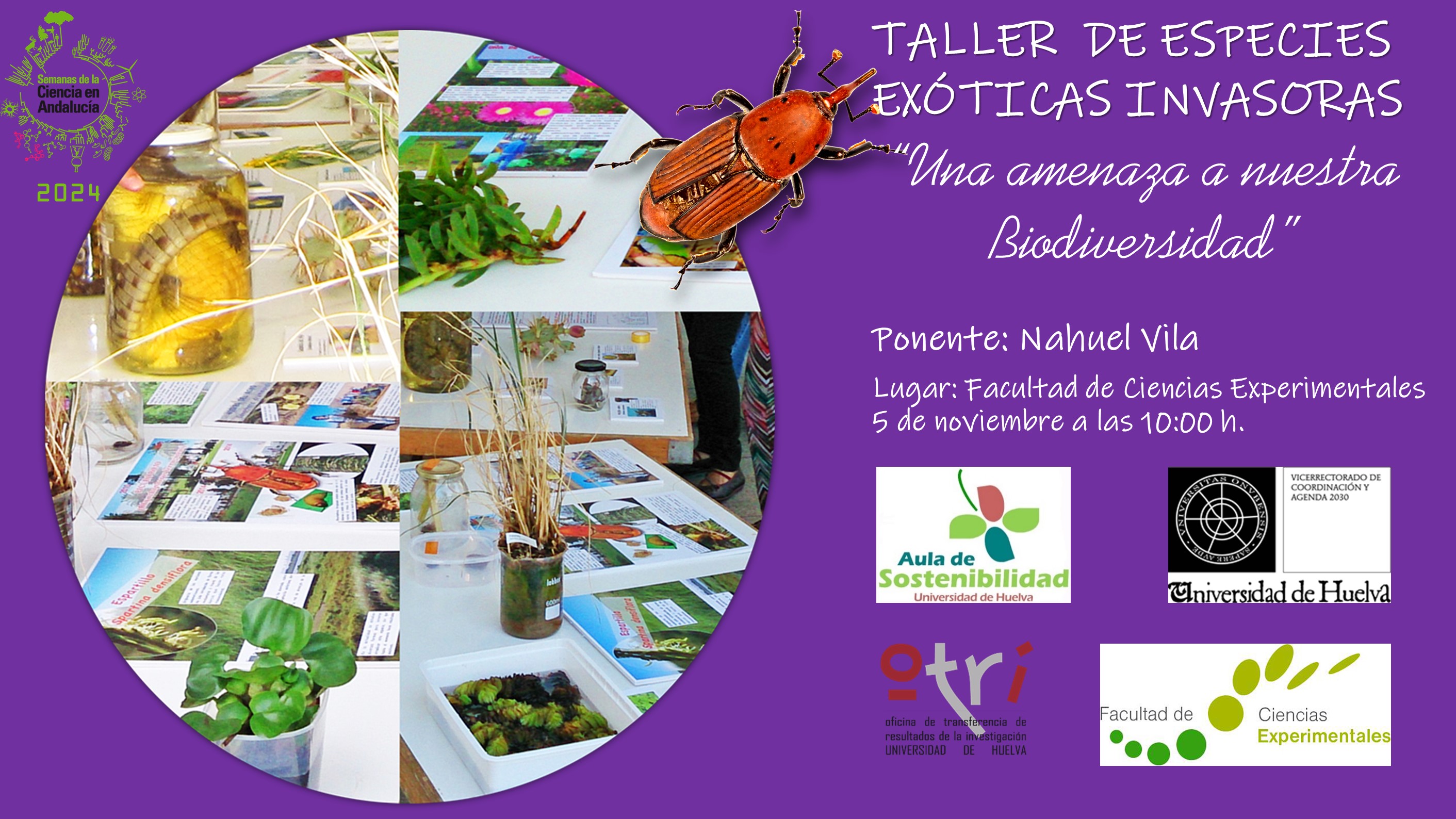 Taller semana de la ciencia