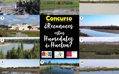 CONCURSO HUMEDALES