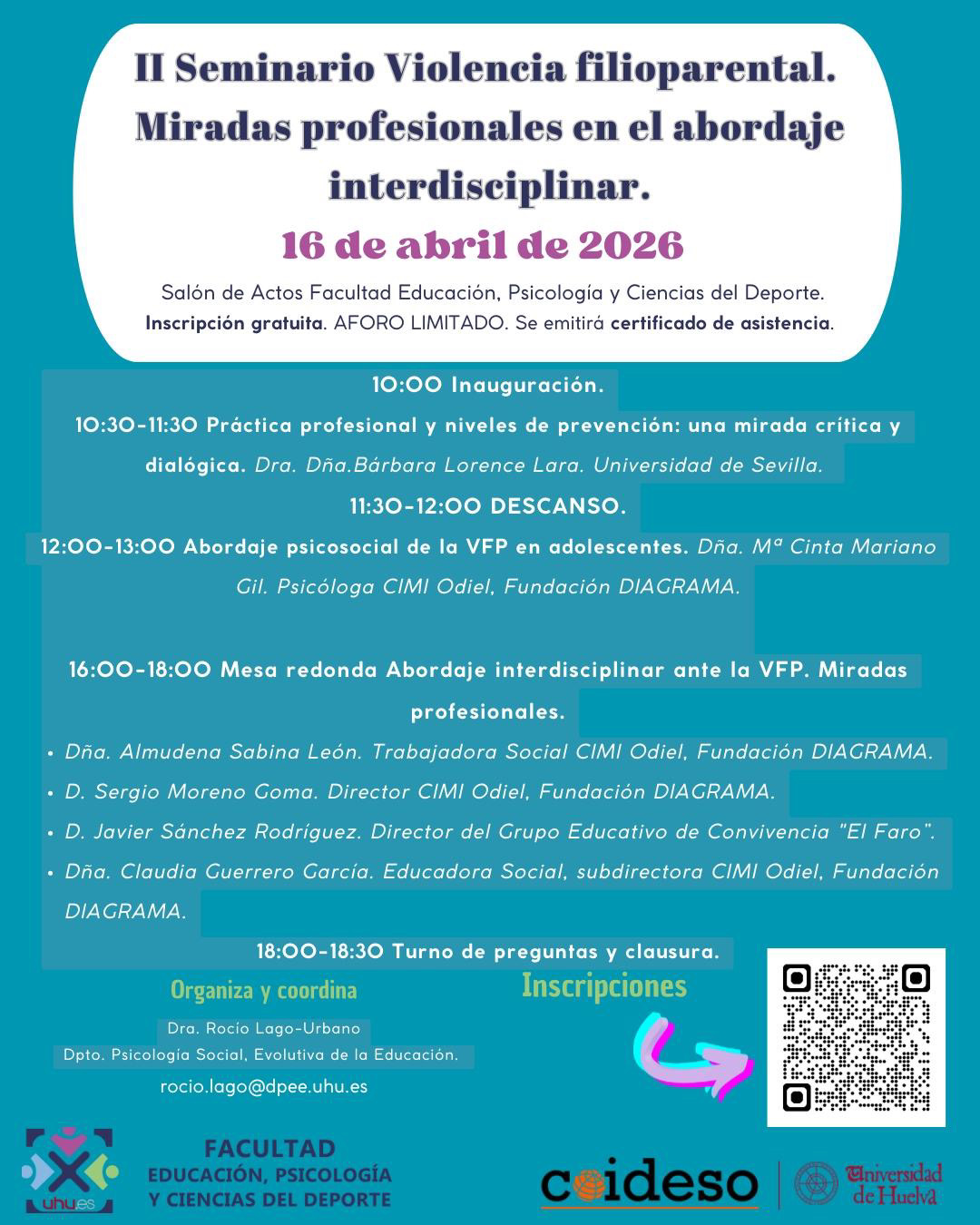 II Seminario VFP. Miradas profesionales.