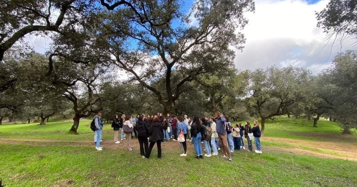 La Universidad de Huelva y la Diputación de Huelva cierran con éxito un nuevo curso de la Cátedra de la Provincia