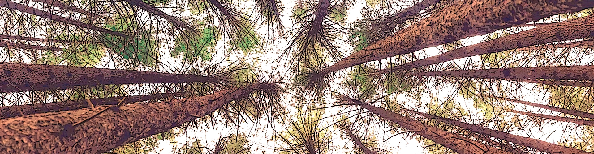 Departamento de Ciencias Agroforestales