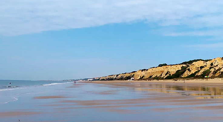 Máster Universitario en Promoción de la Salud en el Ámbito Socio-Educativo