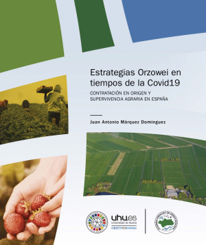 Imagen de portada de Estrategias orzowei en tiempos del covid19