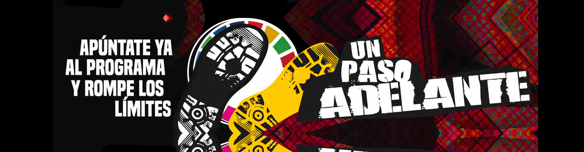 Proyecto Un Paso Adelante