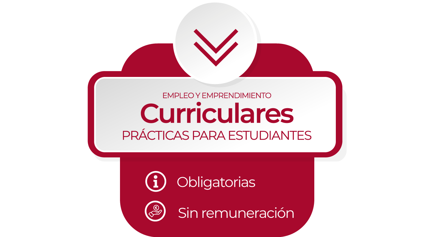 Prácticas curriculares