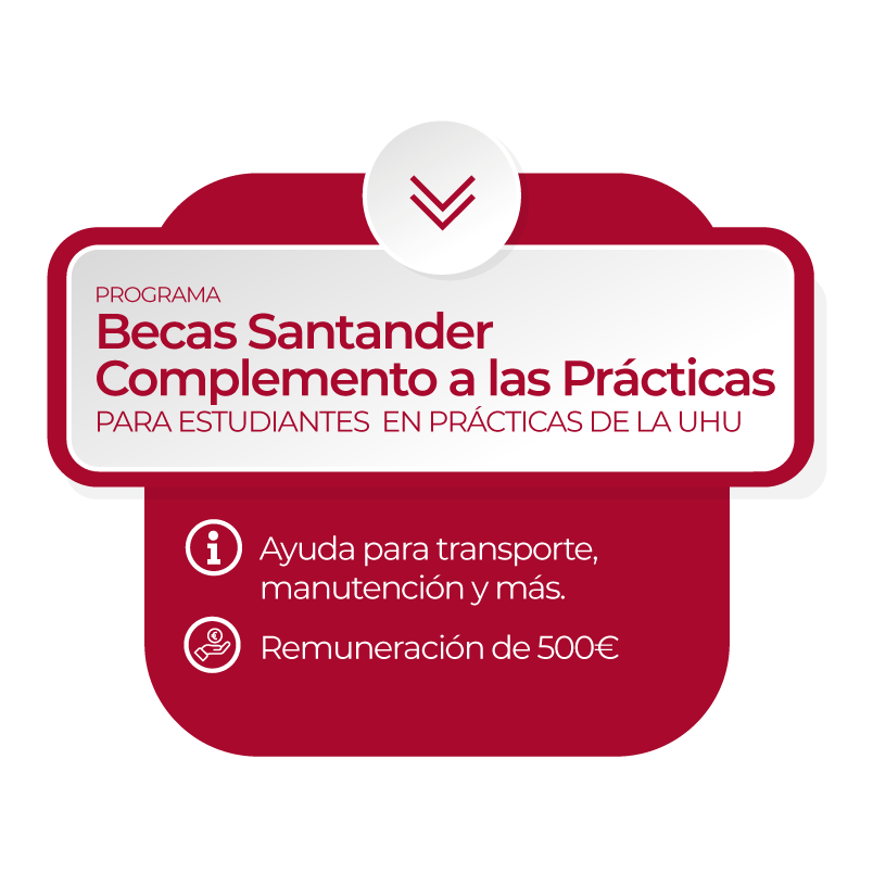 Programa Becas Santander-Complemento a las Prácticas