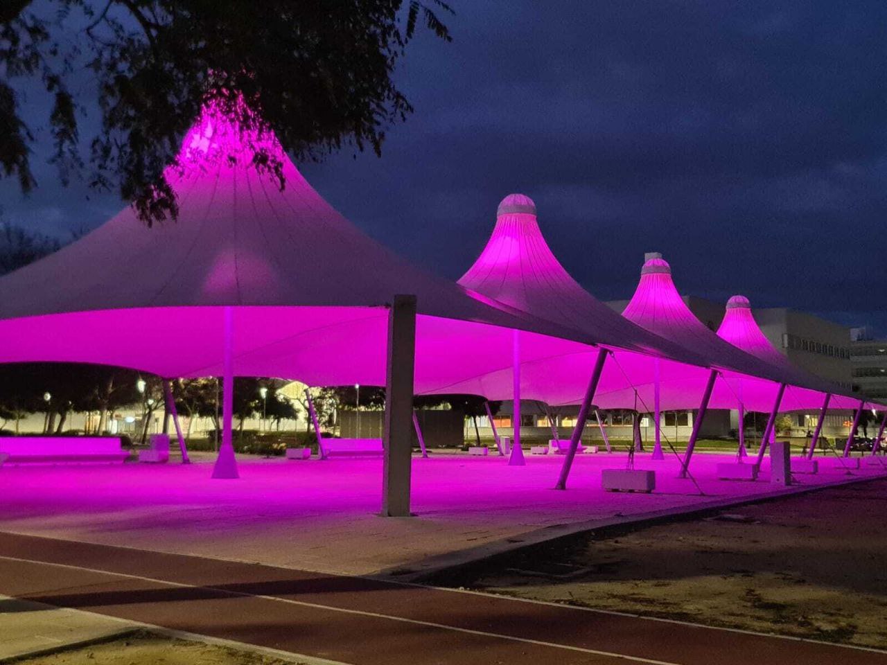 La UHU se suma a la conmemoración del 8 de marzo `Día Internacional de las Mujeres´