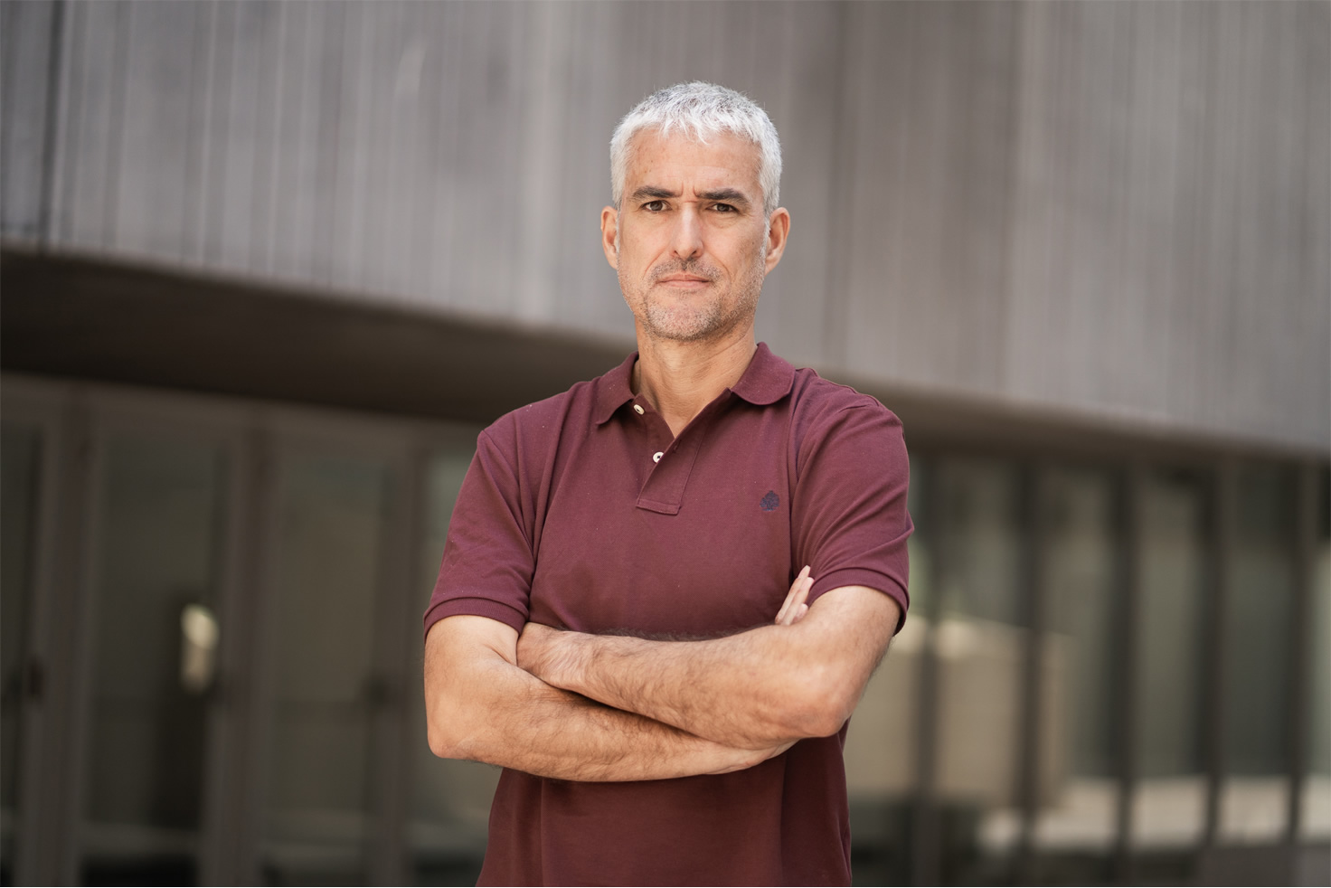 Director de Transferencia