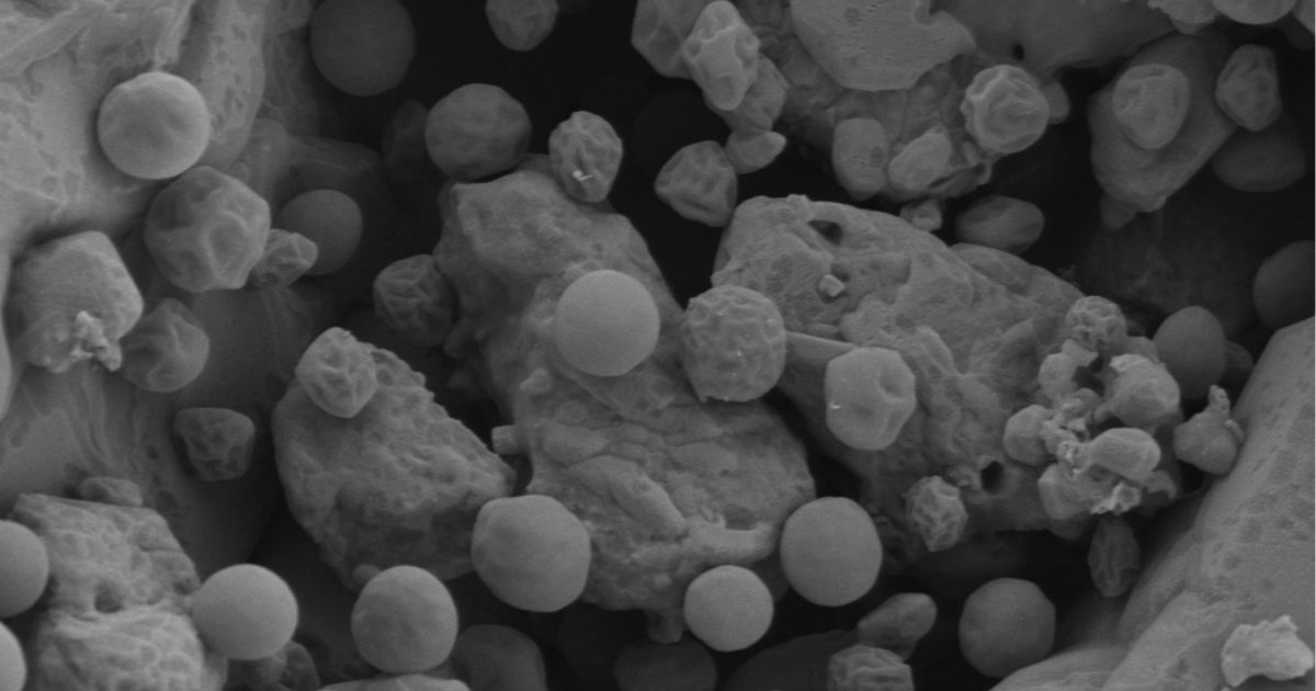 Investigadores de la UHU inmovilizan microalgas en aceite usado y azufre industrial para obtener un biofilm que limpia metales pesados del agua